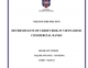 [Khoá luận tốt nghiệp]_ Determinants of credit risk in Vietnamese commercial banks