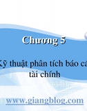 Chương 5. Kỹ thuật phân tích BCTC - Ths Nguyễn Thị Tuyết Mai (ĐH Ngoại thương)
