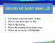 Rủi ro và Suất sinh lời