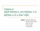 Hợp đồng lao động và động cơ làm việc