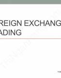 English Economics: Foreign Exchange rate
