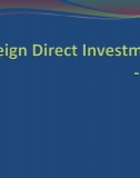 English Economics: Foreign Direct Investment