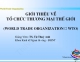 Slide Quan hệ Kinh tế quốc tế: Tổ chức thương mại thế giới WTO