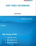 Slide Báo cáo chi tiết Vietinbank (cả năm 2016)