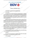 Sổ tay kiểm toán nội bộ BIDV