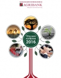 Tổng quan về Agribank 2016