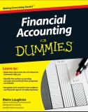 Financial Accounting For Dummies by Maire Loughran 