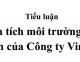 [Tiểu luận] Phân tích môi trường kinh doanh công ty Vinfast